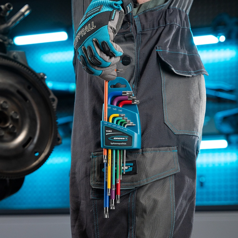 Набор ключей имбусовых Torx -TT, 9 шт: T10-T50, магнит, S2, экстра-длинные, хром/краска 9 шт Gross (16402)