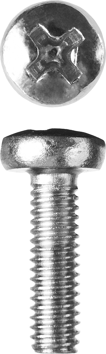 ЗУБР DIN 7985, кл. пр. 4.8, M4 х 10 мм, цинк, 5 кг, винт с полусферической головкой (303150-04-010)