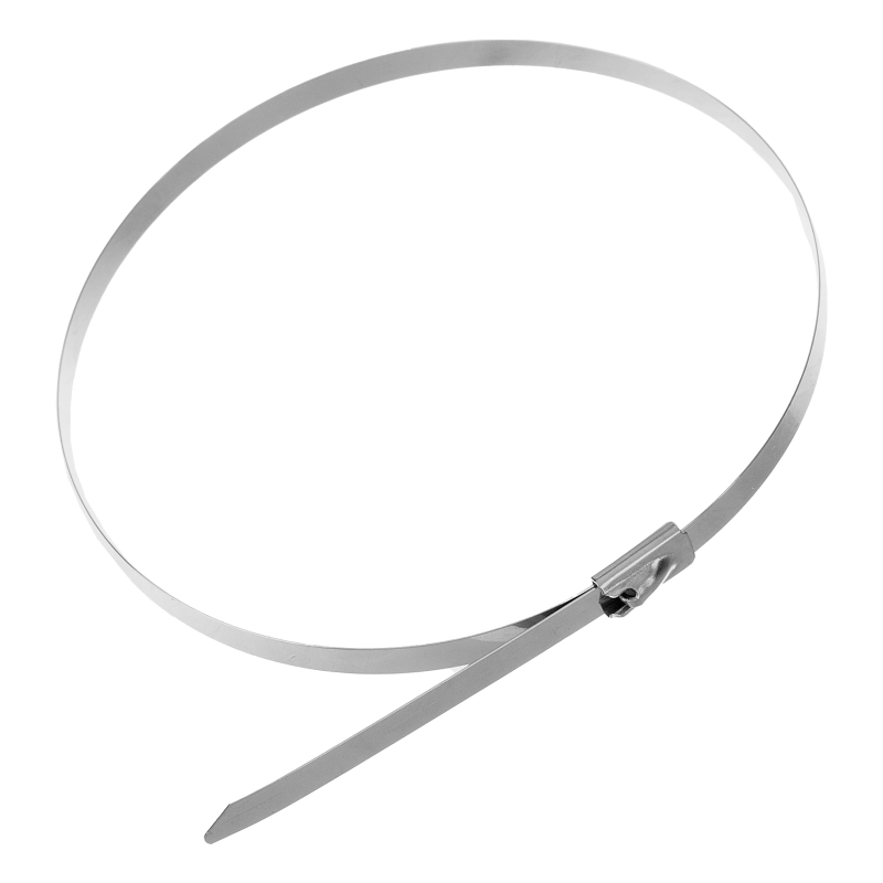 Хомуты, 300 х 4.6 мм, нержавеющая сталь, 50 шт Сибртех (45596)