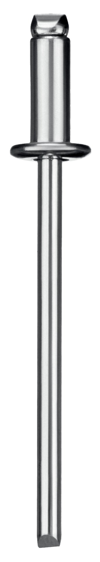 ЗУБР 4.8 x 8 мм, 50 шт, стальные заклепки, Профессионал (313126-48-08)