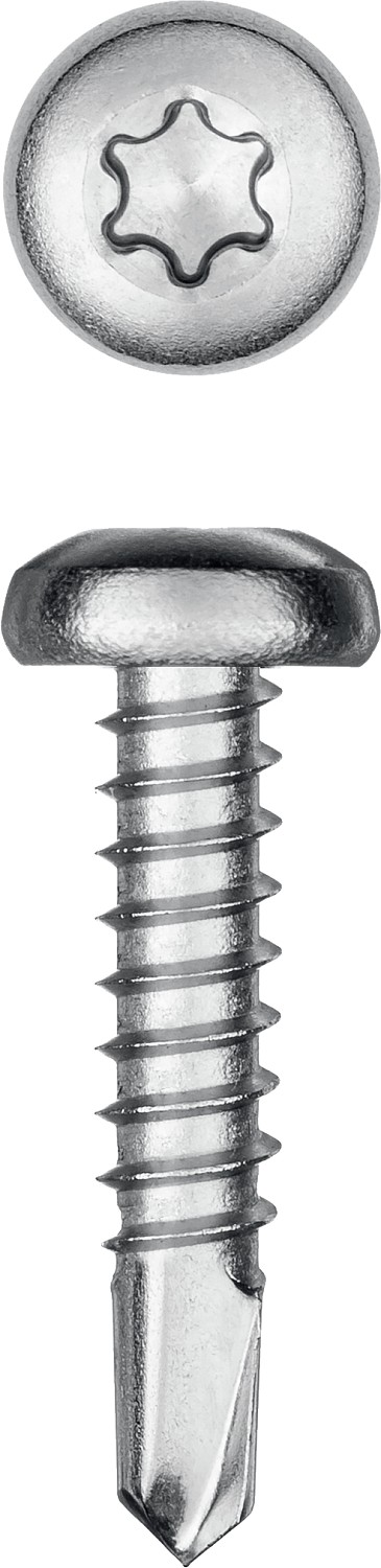 KRAFTOOL DS-P, 19 х 3.5 мм, А2, сверло, полукруглая головка, ТХ15, 800 шт, саморез нержавеющий (300931-35-019)