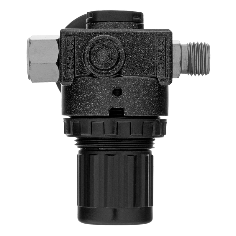 Регулятор давления с манометром R1500, 12 бар, 1/4" Denzel (57491)