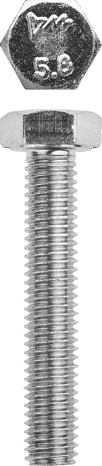 ЗУБР ГОСТ 7798-70, кл. пр. 5.8, M8 х 50 мм, цинк, 5 кг, болт (303080-08-050)