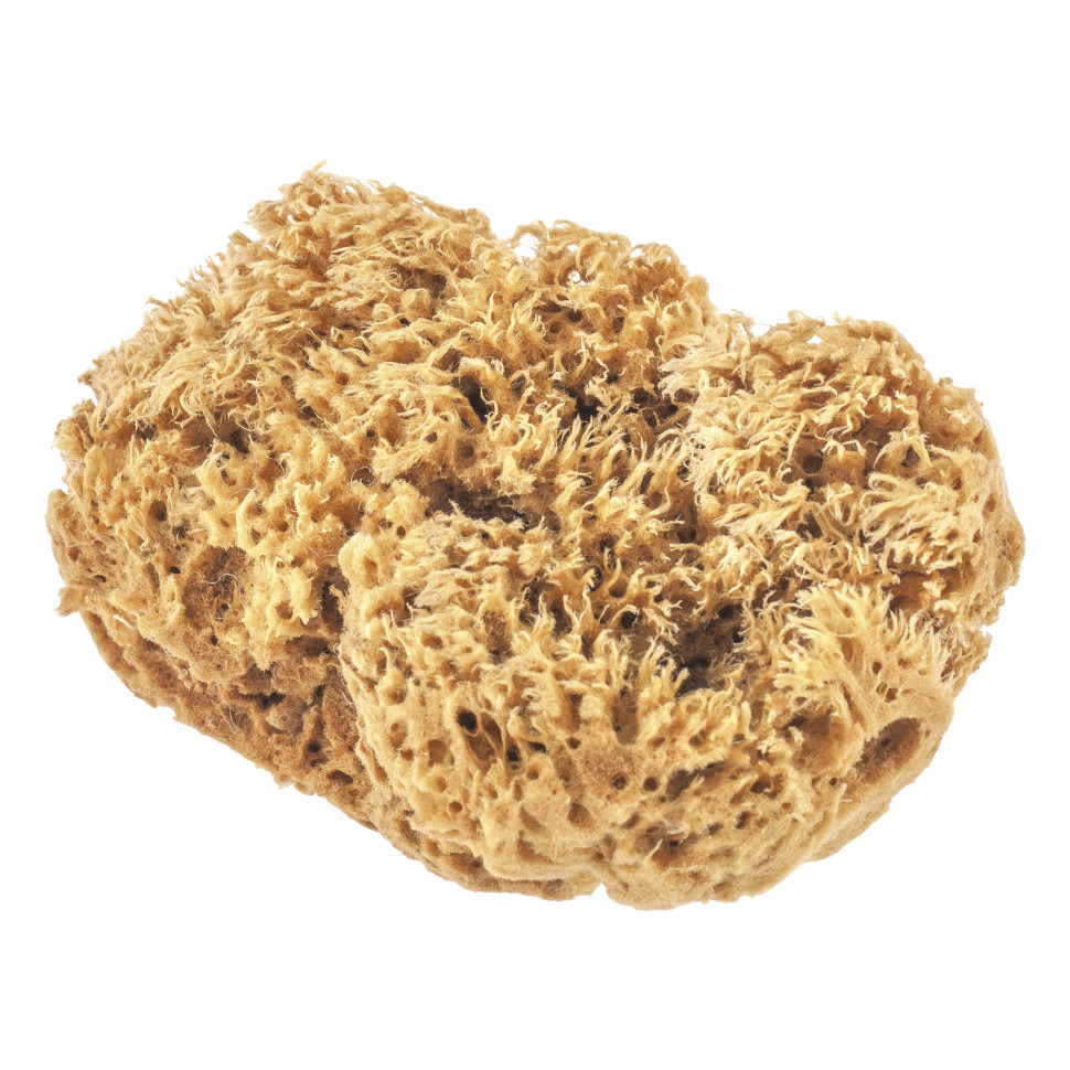 Губка натуральная для декоративных покрытий Matrix (86817)