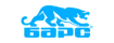 БАРС
